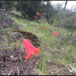 Meet your Posher, Patti ann